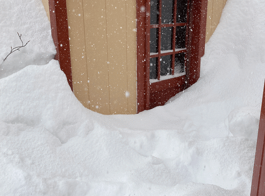 雪災で雪に埋まる物置
