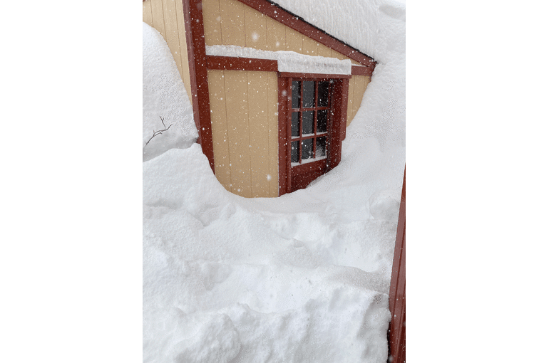 雪災で雪に埋まる物置