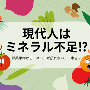 現代人はミネラル不足⁉