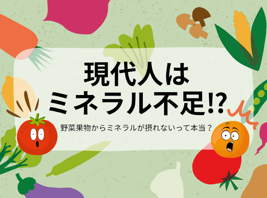 現代人はミネラル不足⁉