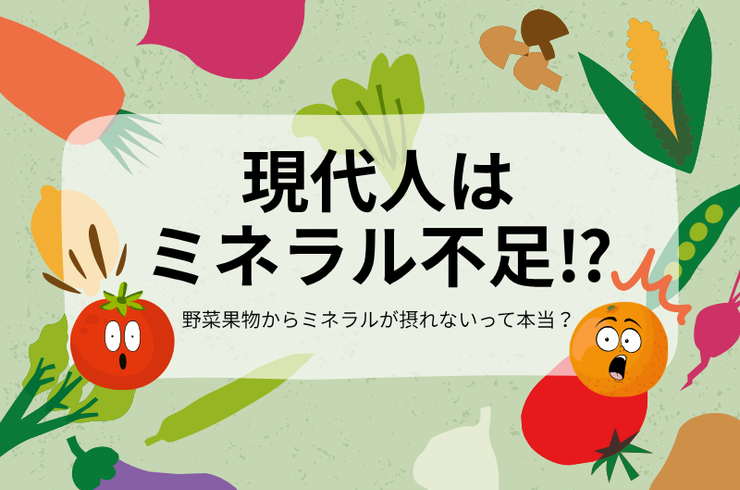 現代人はミネラル不足⁉